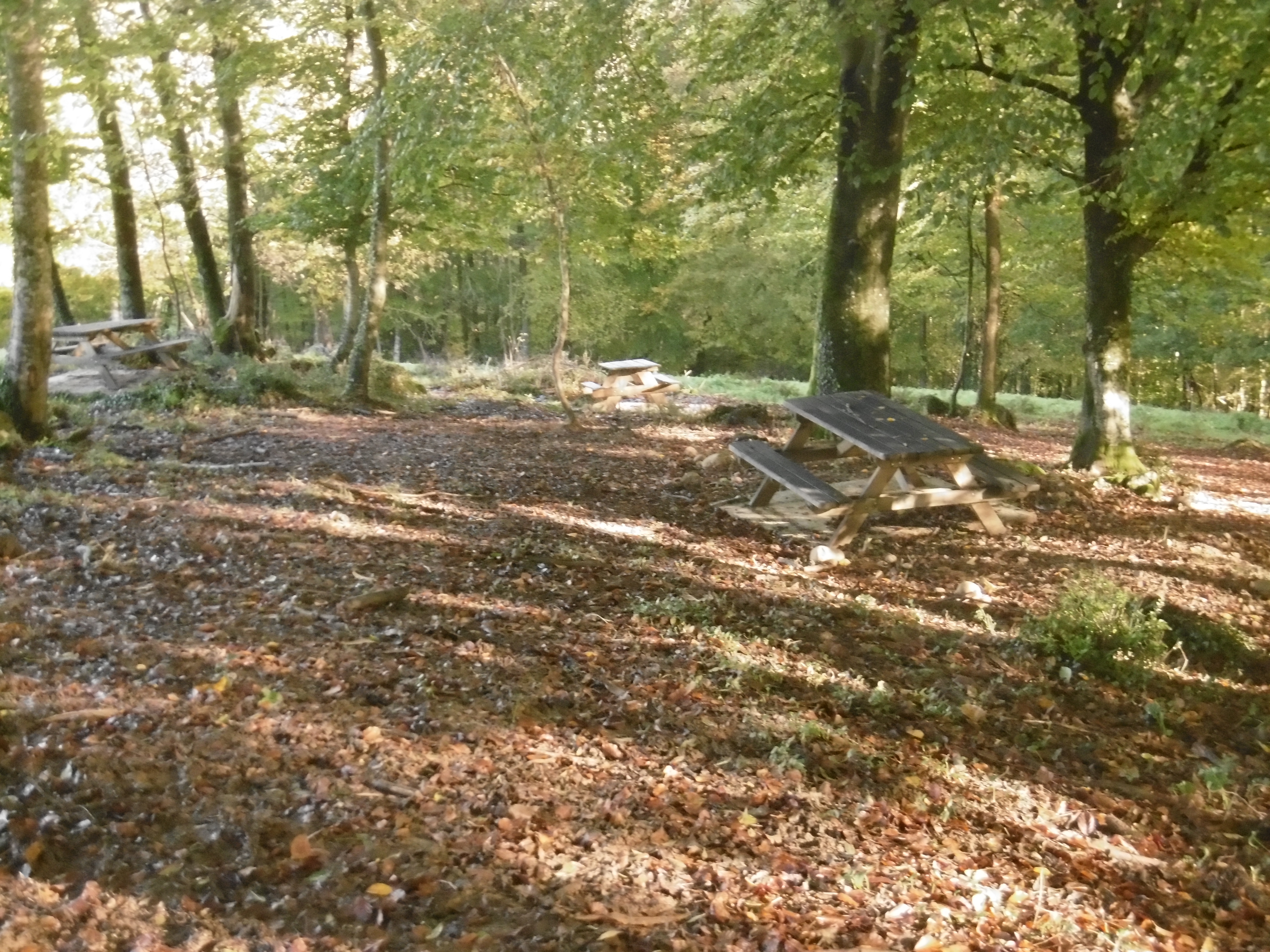 Aires de Pique-Nique