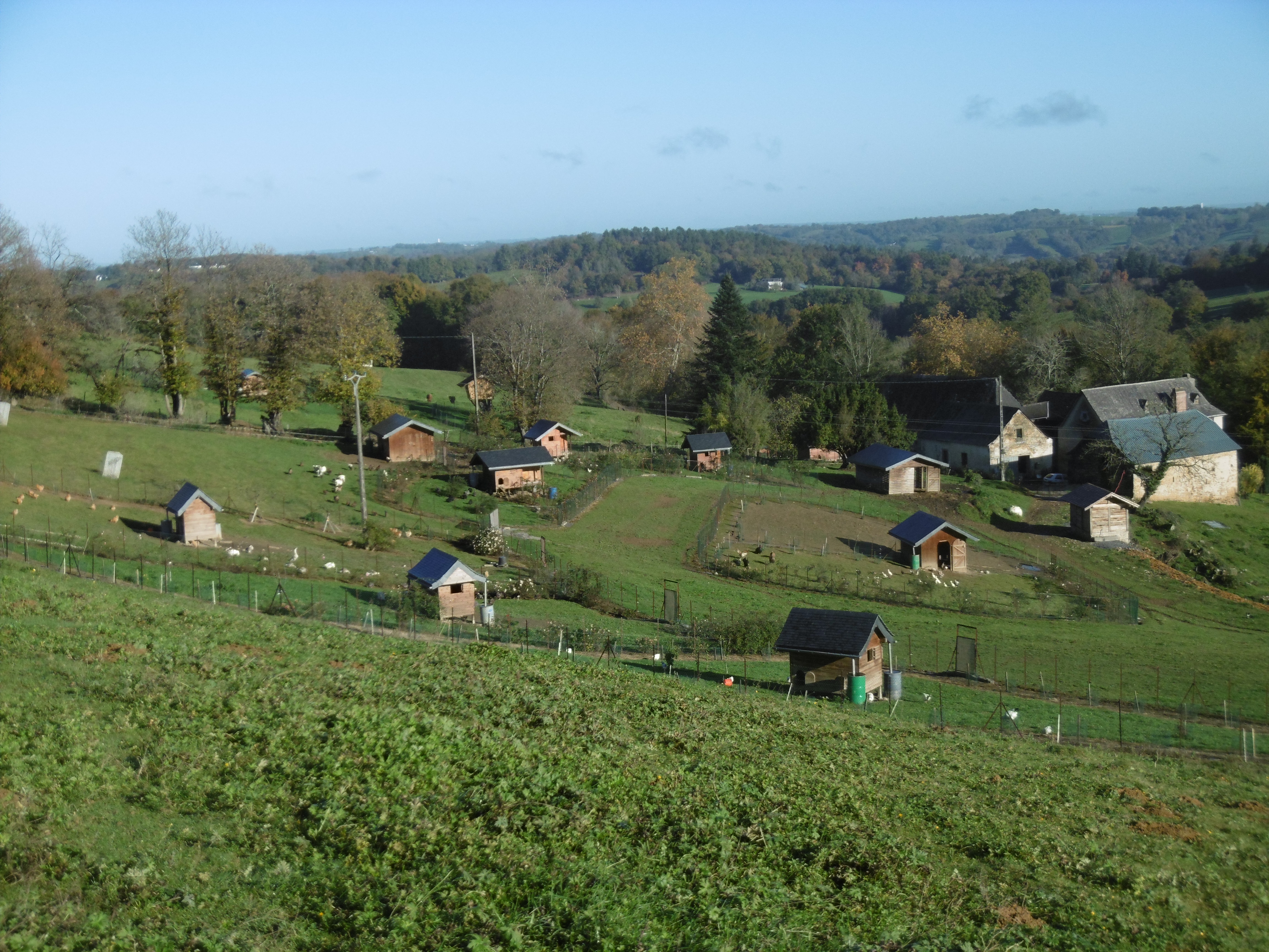 Vue aérienne de la ferme Des Plumes et des Pattes