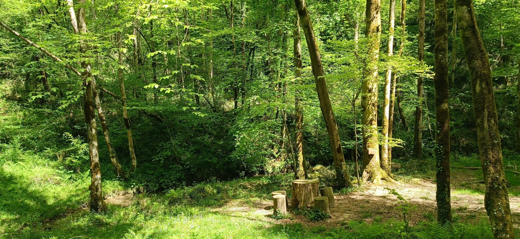 Vue panoramique sur la vallée