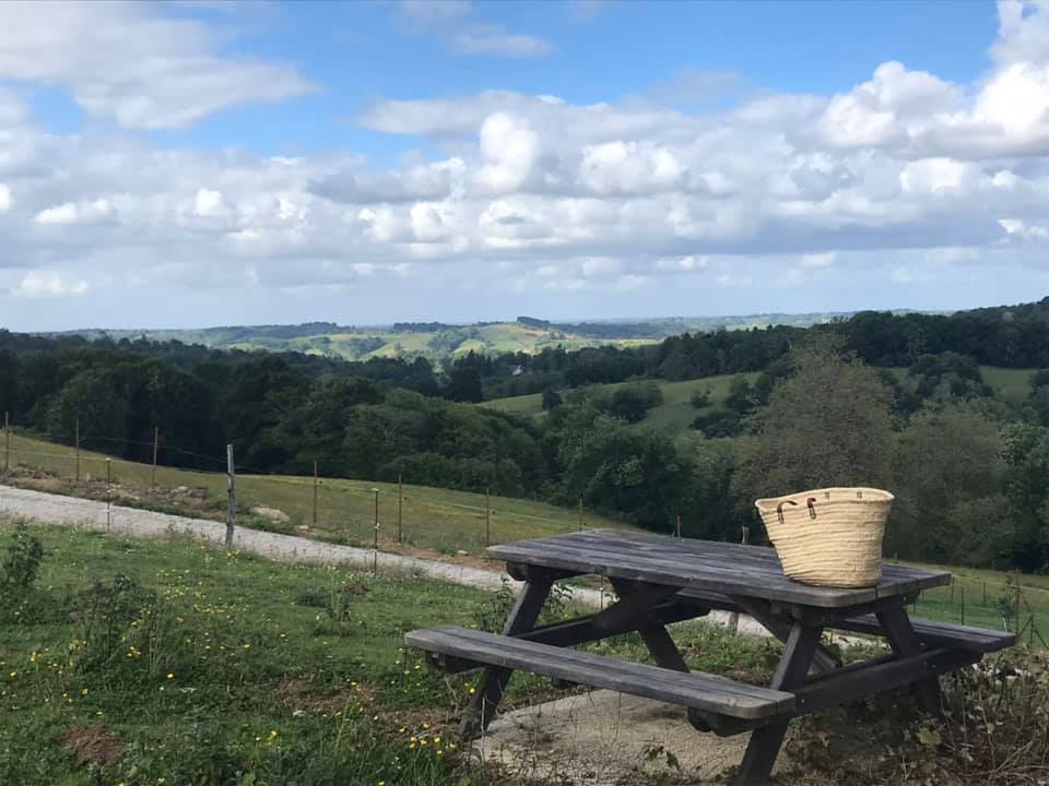 Forêt et sentiers de la ferme