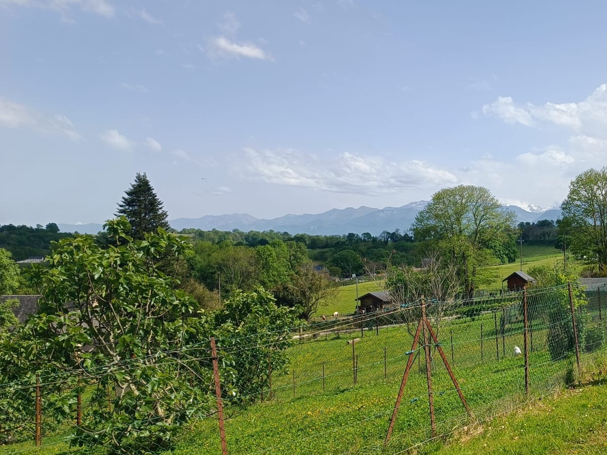 Coin pique-nique dans les bois